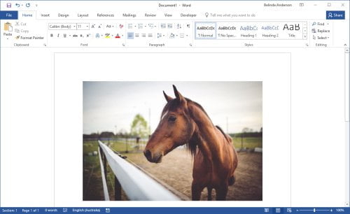 Resize an Image in Word