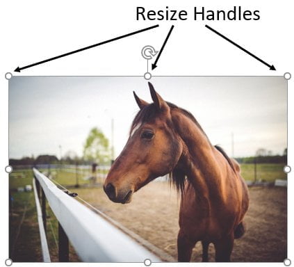 Resize an Image in Word