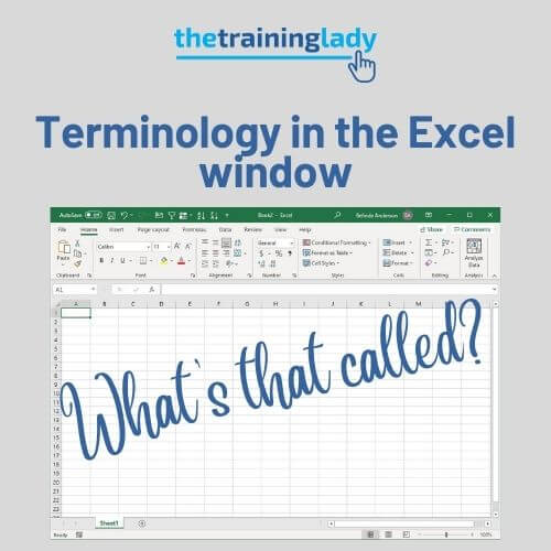 Terminology in the Excel window