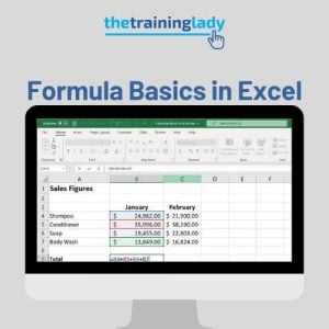 Using Formulas in Excel