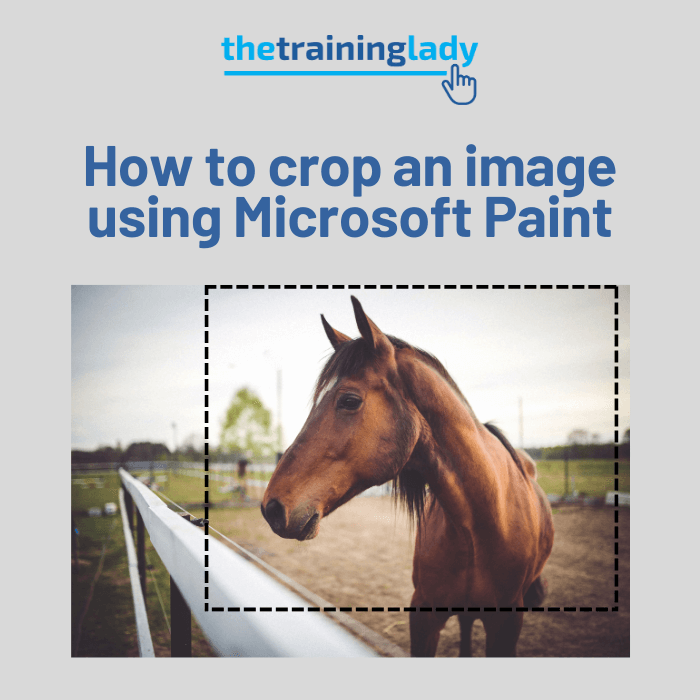 How to crop an image using Microsoft Paint