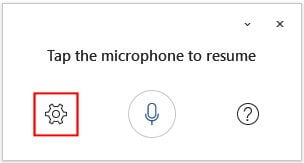 Click the settings button within the dictation window.