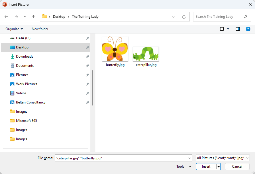 powerpoint presentation animation appear then disappear